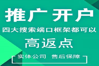信息流广告投放公司案例分析报告